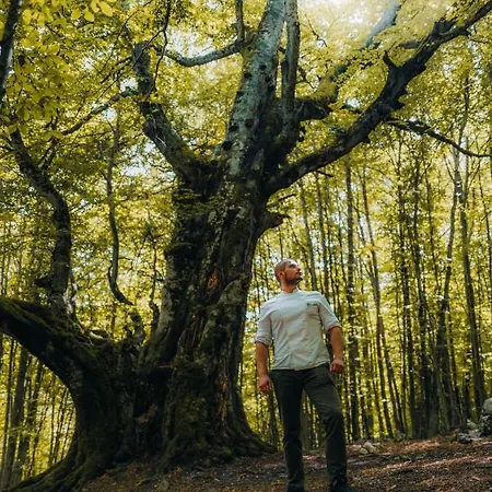 Ξενοδοχείο Degli Olmi