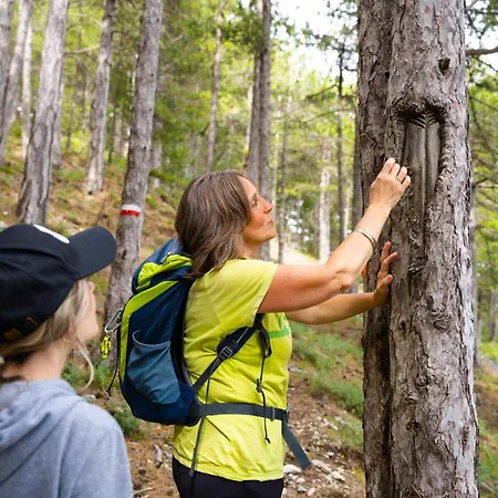 Degli Olmi 3* Villetta Barrea