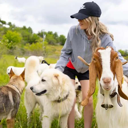Degli Olmi 3* Villetta Barrea