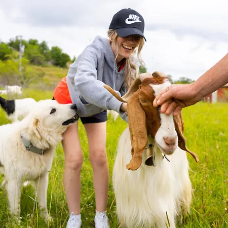 Ξενοδοχείο Degli Olmi
