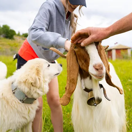 Degli Olmi Hotel Villetta Barrea