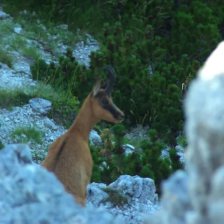 Ξενοδοχείο Degli Olmi