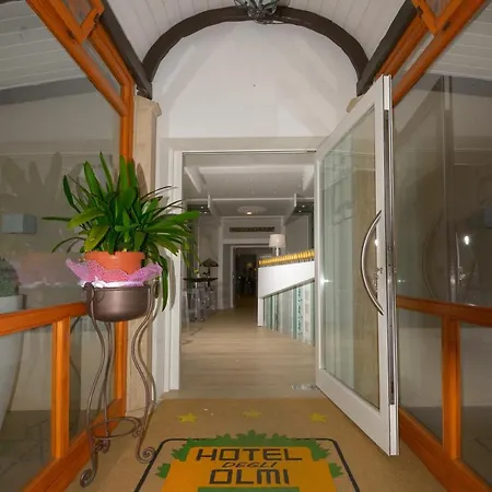 Degli Olmi Otel 3*