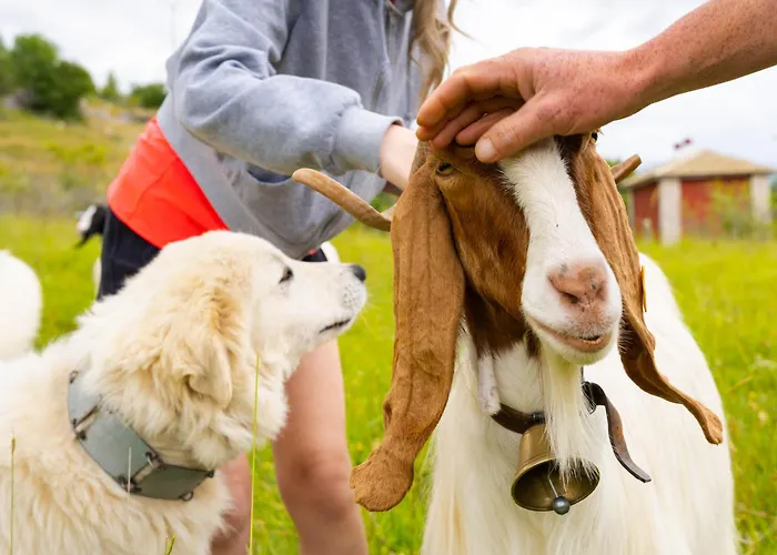 Degli Olmi Otel Villetta Barrea